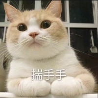 eezizy