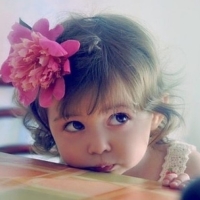 elccc