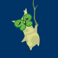 tailofleaves