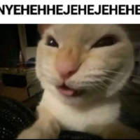 xzcat