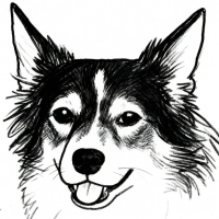 burbilog