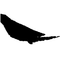 onewater