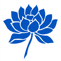 wisepanda