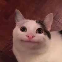 Nova_