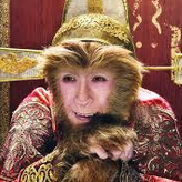 kingmonkey
